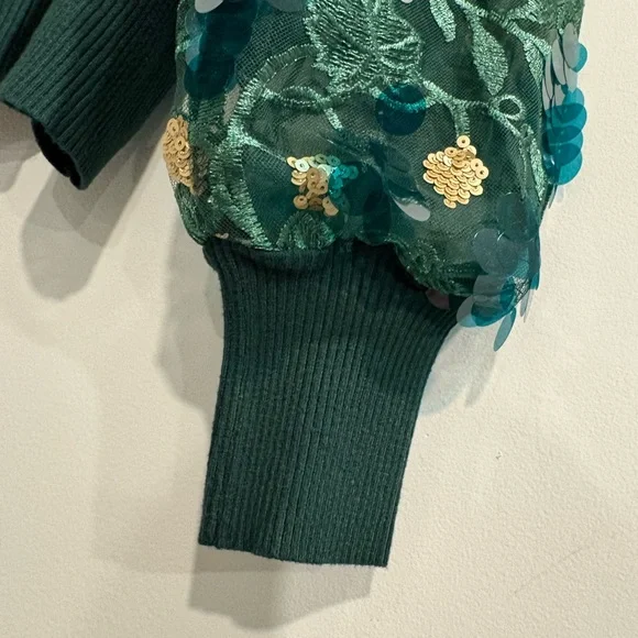 Sioni Green Embellished Sleeve Sweater - Picture 3 of 13
